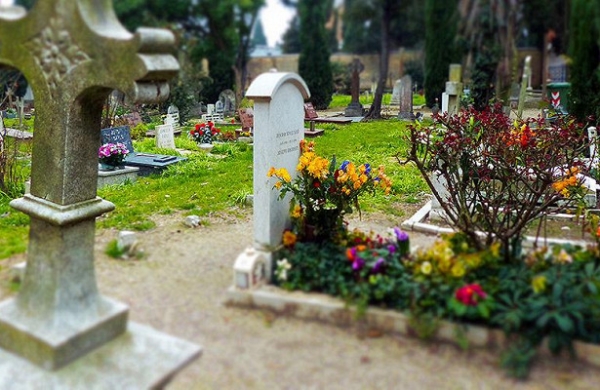 <br />
Россиянин выкопал на кладбище килограммы экстази<br />
